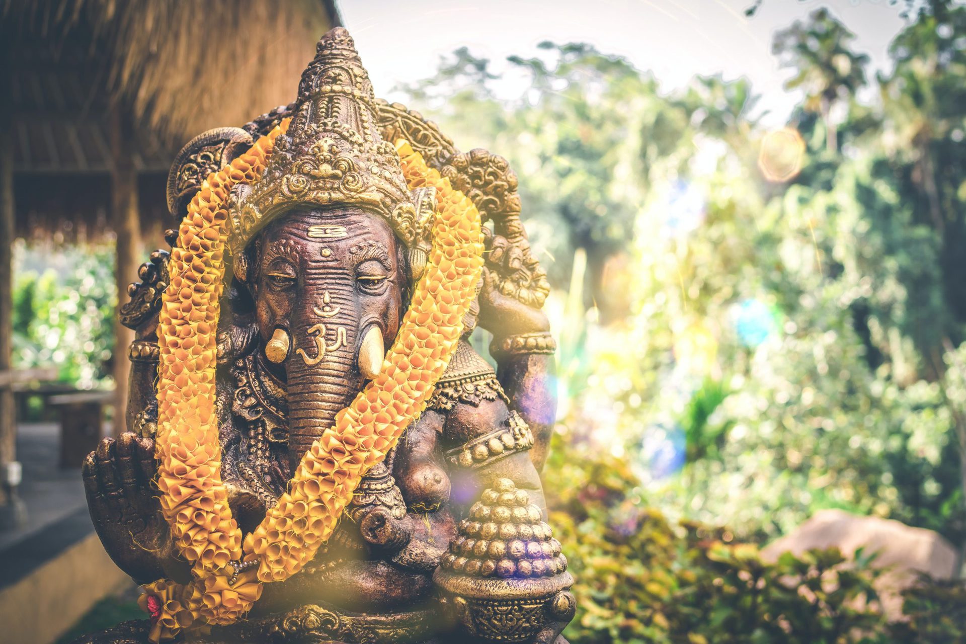 A Guide to Vegan Bali Travel in 2022